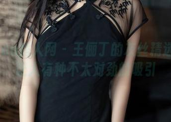 Xiuren秀人网 - 王俪丁的灰丝精选：这让人有种不太对劲的吸引