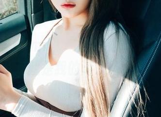 有了普美Bomi(보미)的免费图包，办公室就是我的游乐场！