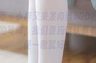 森萝财团 - 小梓又来发肉丝30D图，想问问这样的写真，我们是应该认真看还是随便一瞅就好？